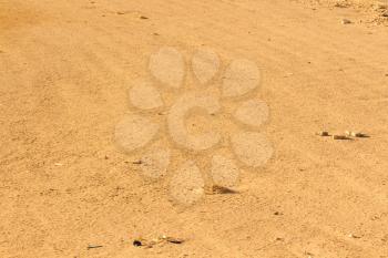 Desert sand texture from the sand in Egypt