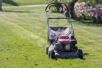 Modern gasoline lawn mower on a green meadow. Garden equipment