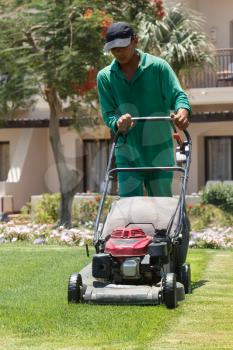 Mowing or cutting the long grass with a green lawn mower