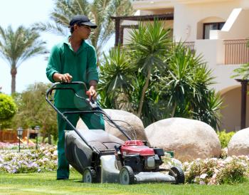 Male gardener cutting grass with lawn mower