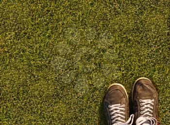 Green grass texture from a soccer field