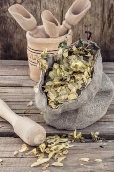 bag of harvest of dried hop cones in  rustic style on wooden background