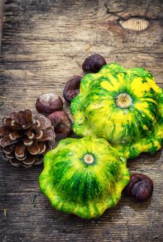 Autumn harvest squash with chestnuts and pine cones on wooden table