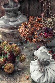 assembled the dried yield healing herbs traditional medicine and vintage kerosene lamp.Photo tinted.Selective focus