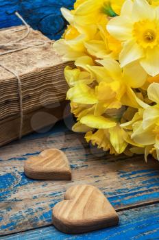 bouquet blooming daffodils in the background of two symbolic wooden hearts.Selective focus