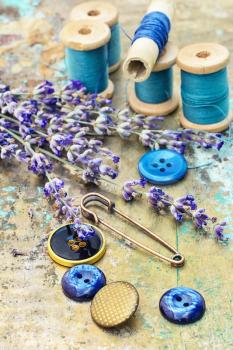 Set of buttons and thread on a background of cut branches of lavender.