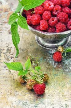 Full ramekin of berries ripe raspberry on metal background