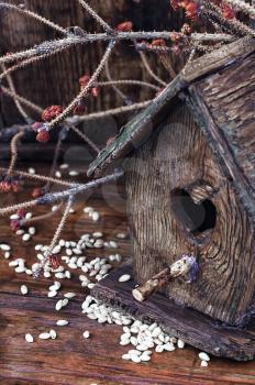 Stylish wooden empty birdhouse out of old wood and spilled grain