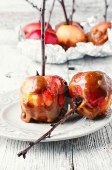 Ripe apples with toffee caramel decorated with branch on a light background.