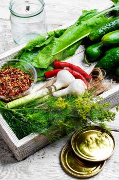 yield of cucumber,pepper,spices and fennel for pickling
