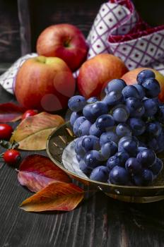 Autumn harvest of apples and grapes on a dark background