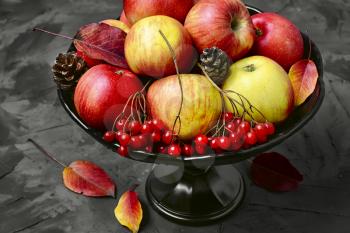 Bowl on the leg with the autumn harvest of apples and a bunch of viburnum