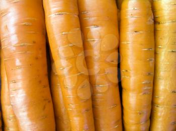 Agricultural background, a pile of beautiful carrots