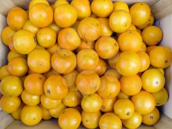 The beautiful tangerines on a counter