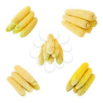 set of corn isolated on the white background