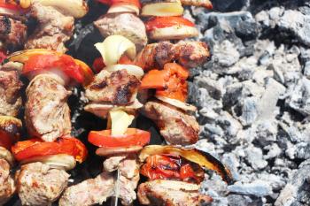 Meat and vegetables frying on a grill on a background of the ash