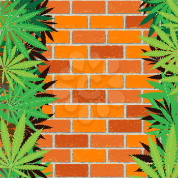 Hemp plant cannabis leaves and red brick wall background. Marijuana narcotic wallpaper. Green hashish smoker illustration