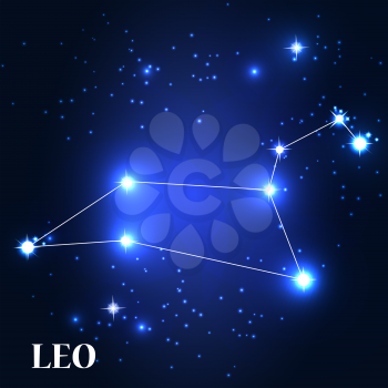 Symbol. Leo Zodiac Sign. Vector Illustration EPS10