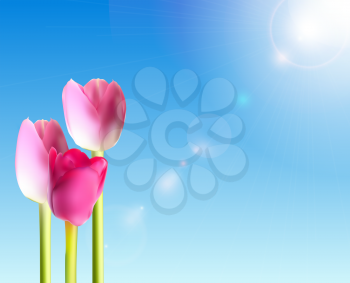 Beautiful Pink Tulips Against Shiny Sky Vector Illustration EPS10