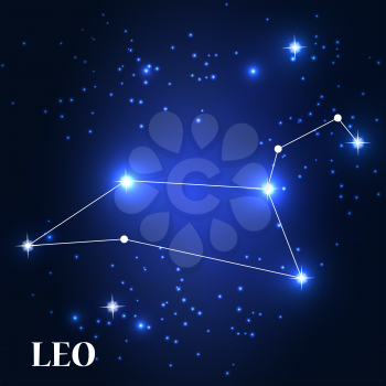Symbol: Leo Zodiac Sign. Vector Illustration. EPS10