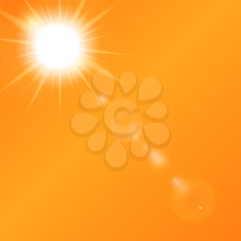 Natural Sunny on Orange Background Vector Illustration EPS10
