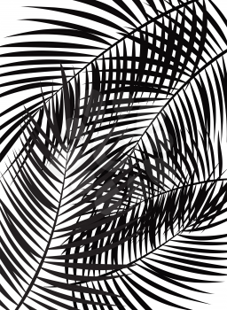 Palm Leaf Vector Background Isolated Illustration EPS10
