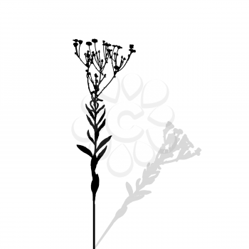 Silhouette of Plants. Vector Ilustration. EPS10