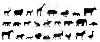 vector set of animals silhouette