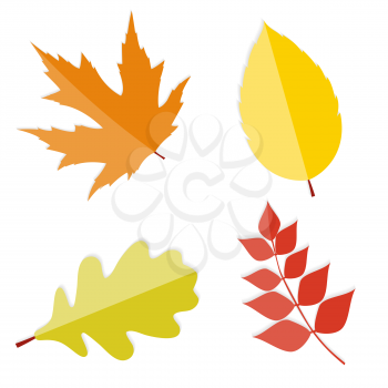 Shiny Autumn Natural Leaves  Vector Illustration. EPS10