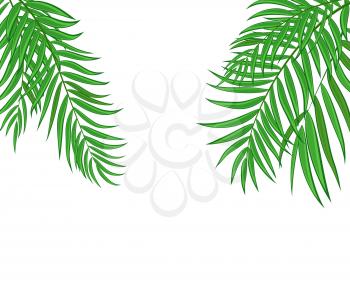 Beautifil Palm Tree Leaf  Silhouette Background Vector Illustration EPS10