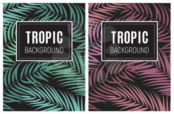 Beautifil Palm Tree Leaf Tropical Silhouette Background Vector Illustration EPS10