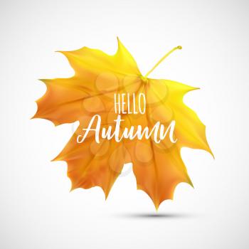 Shiny Hello Autumn Natural Leaves Background. Vector Illustration EPS10
