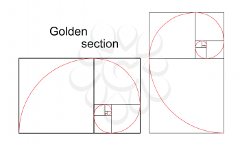 Illustration of double golden spiral (section, ratio, proportion), isolated on white background, vector, eps8