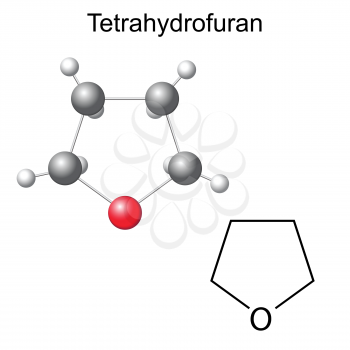 Structural chemical formula and model of tetrahydrofuran molecule, 2d and 3d illustration, isolated, vector, eps 8