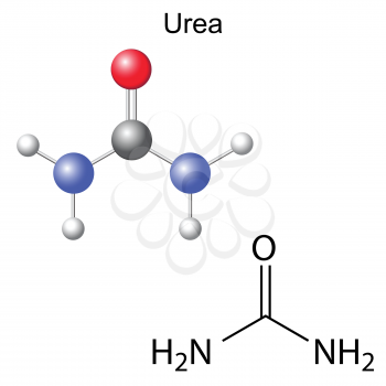 Structural chemical formula and model of urea molecule, 2d and 3d illustration, isolated, vector, eps 8