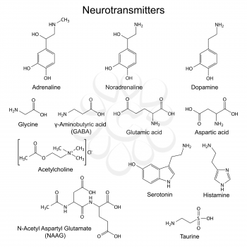 Structural chemical formulas of basic neurotransmitters, 2d vector, eps 8