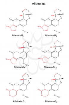 Structural chemical formulas of aflatoxins (B, M, G) with marked variable fragments, 2d illustration, vector, isolated on white