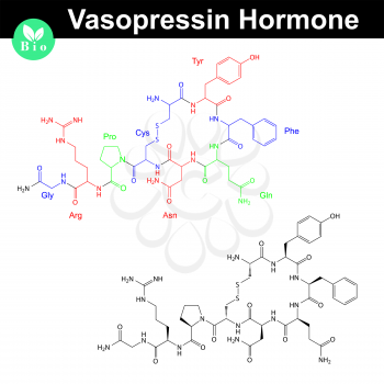 Vasopressin hormone molecule with marked amino acid components, 2d vector model, eps 8
