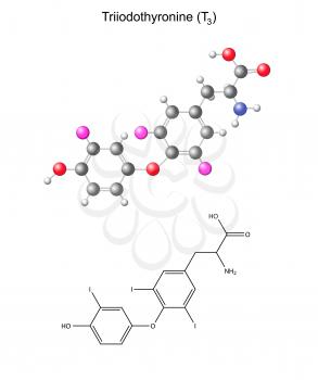 Metabolism Clipart