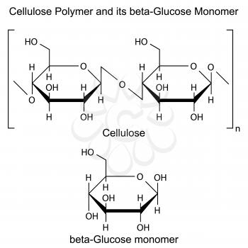 Biopolymer Clipart