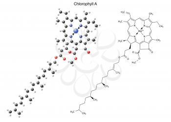 Chlorophyll Clipart