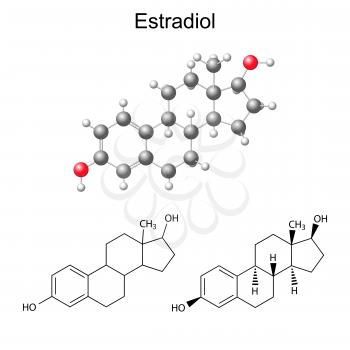 Metabolism Clipart