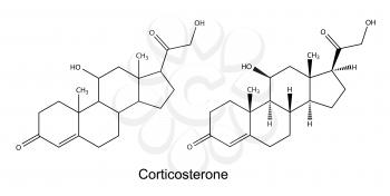 Hormones Clipart