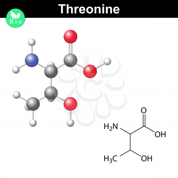 Threonine proteinogenic essential amino acid molecular structure and model, 2d and 3d illustration, isolated on white background, vector, eps 8
