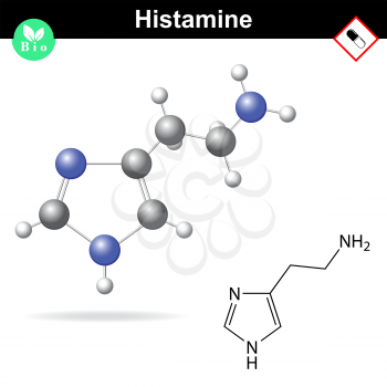 Histamine structural chemical formula, 2d and 3d vector illustration, isolated on white background, eps 10