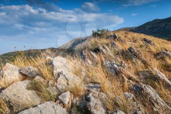 Montenegro. Mountain landscape with dry grass growing on the rock