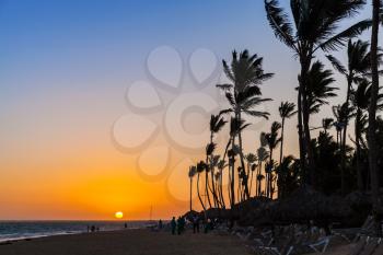 Sunrise landscape on Atlantic ocean coast with palm trees. Dominican republic