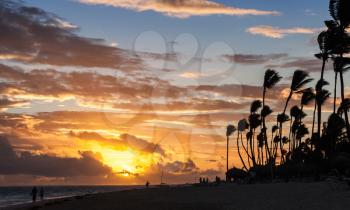 Sunrise over Atlantic ocean coast with palm trees silhouettes. Hispaniola island, Dominican republic