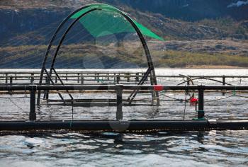 Fish farm cages for salmon growing in Norwegian sea fjord