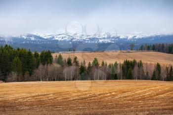 Rural spring Norwegian landscape with dry grass and foggy mountains